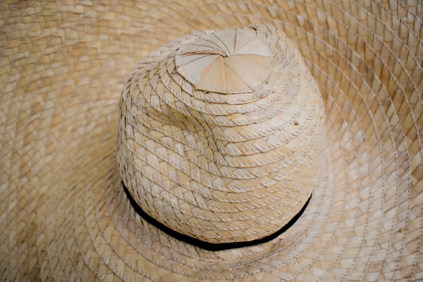 Woven straw hat with dark band around crown.