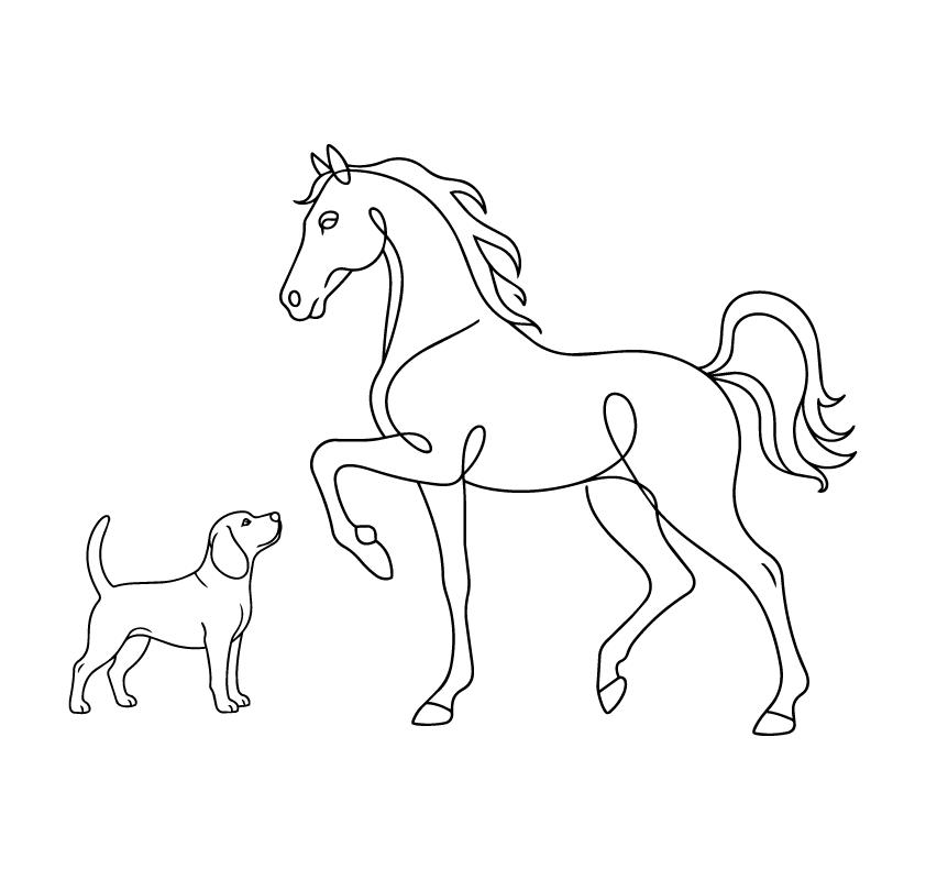 The Horse & The Hat